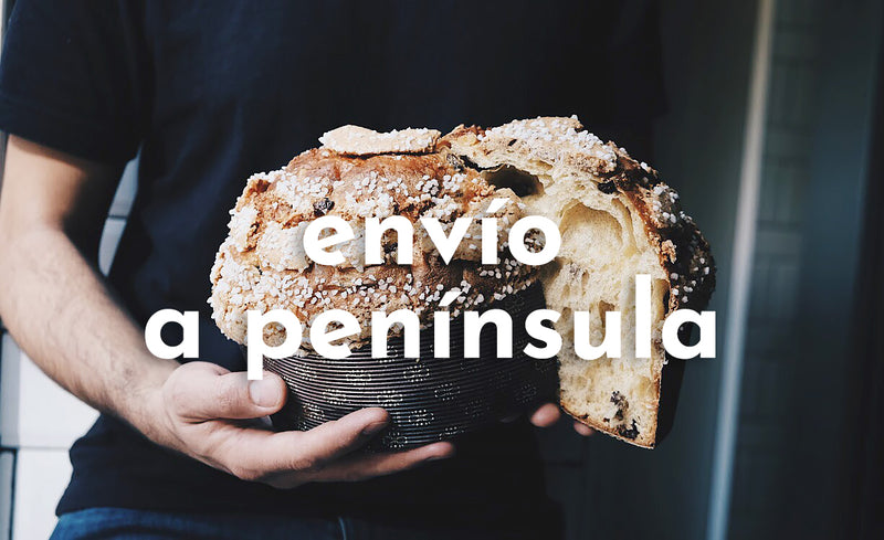 PANETTONE ARTESANO (sólo envíos península)